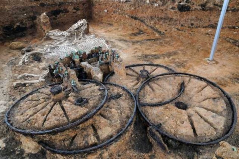 9 hallazgos arqueológicos que nos hicieron decir "guau"