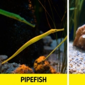 9 hechos científicos que son sorprendentemente ciertos