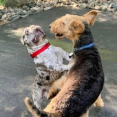 9 imágenes que son más divertidas que una broma