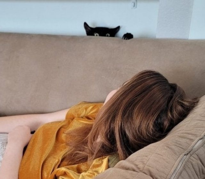 9 imágenes que son más divertidas que una broma