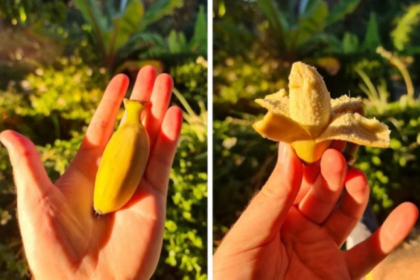 9 momentos en los que la naturaleza decidió colmarnos de alegría 9 momentos en los que la naturaleza decidió colmarnos de alegría