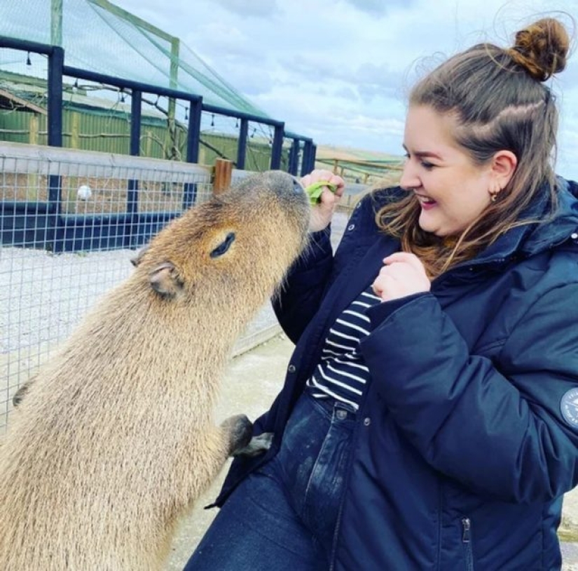 9 momentos en los que la naturaleza decidió colmarnos de alegría 9 momentos en los que la naturaleza decidió colmarnos de alegría