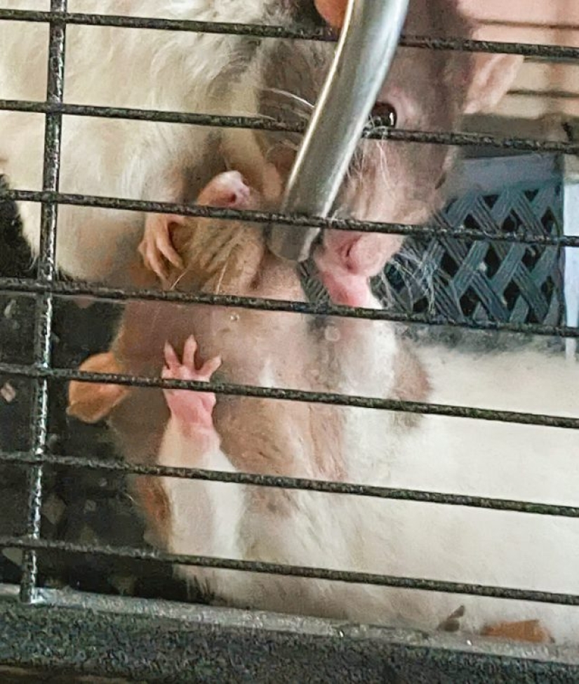 9 momentos en los que la naturaleza decidió colmarnos de alegría 9 momentos en los que la naturaleza decidió colmarnos de alegría