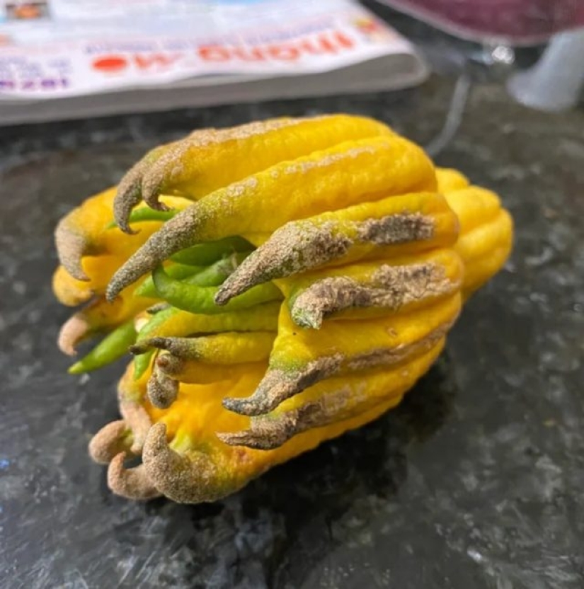 9 momentos en los que la naturaleza decidió colmarnos de alegría 9 momentos en los que la naturaleza decidió colmarnos de alegría