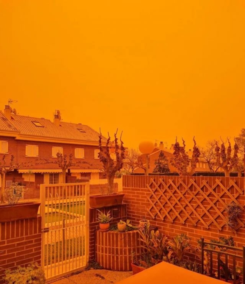 9 momentos en los que la naturaleza decidió colmarnos de alegría 9 momentos en los que la naturaleza decidió colmarnos de alegría