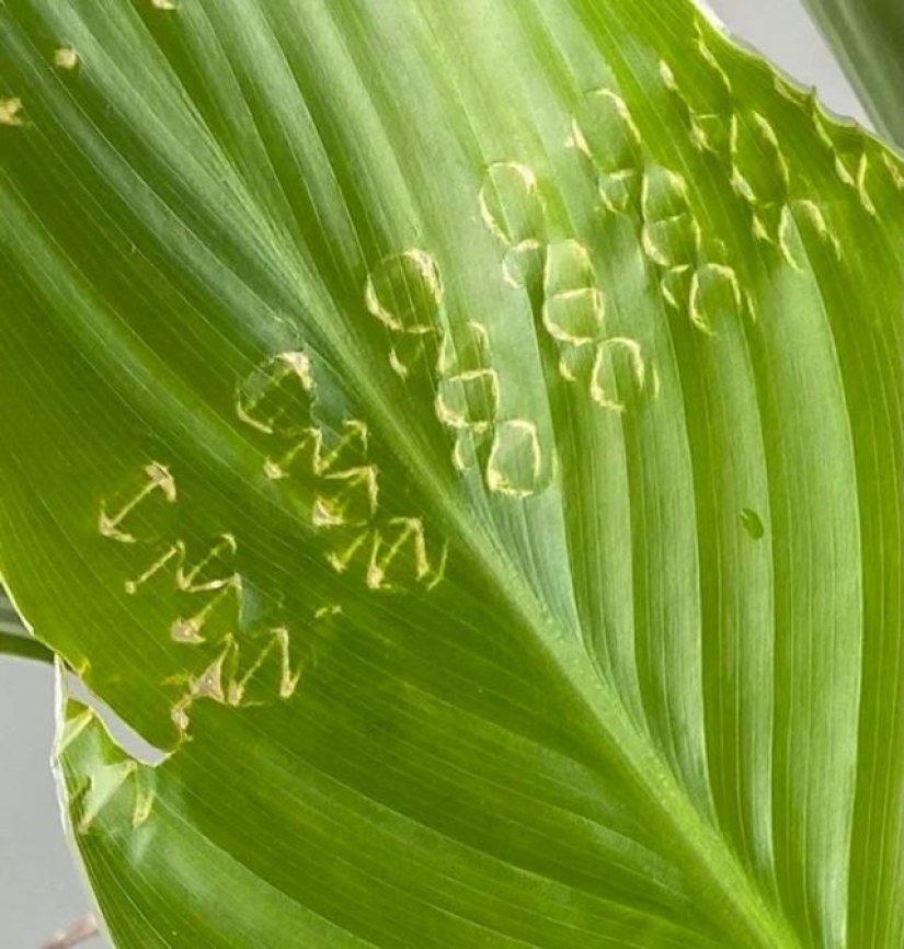 9 momentos en los que la naturaleza decidió colmarnos de alegría 9 momentos en los que la naturaleza decidió colmarnos de alegría