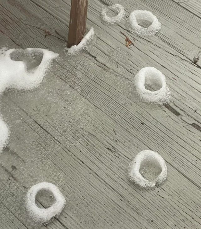 9 momentos en los que la naturaleza decidió colmarnos de alegría 9 momentos en los que la naturaleza decidió colmarnos de alegría