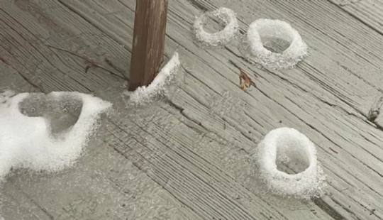 9 Moments When Nature Decided To Shower Us With Joy 9 Moments When Nature Decided To Shower Us With Joy