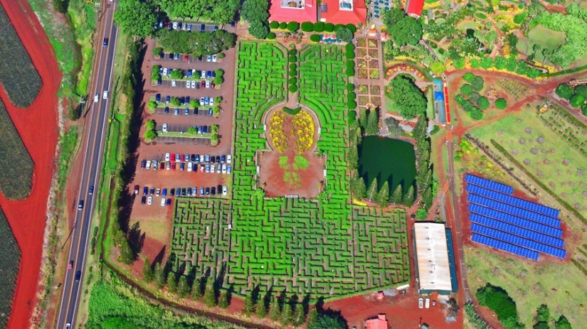 9 most unusual hedge mazes in the world that you need to walk through at least once in your life 9 most unusual hedge mazes in the world that you need to walk through at least once in your life