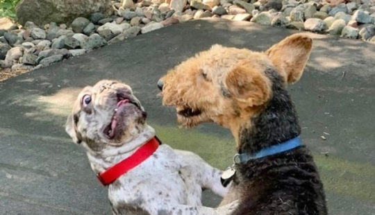 9 pictures that are funnier than a joke 9 pictures that are funnier than a joke