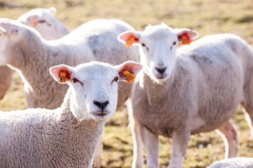 9 Scientific Facts That Are Surprisingly True