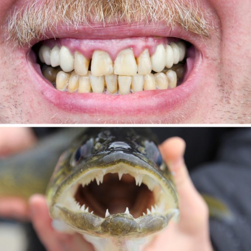 9 Scientific Facts That Are Surprisingly True