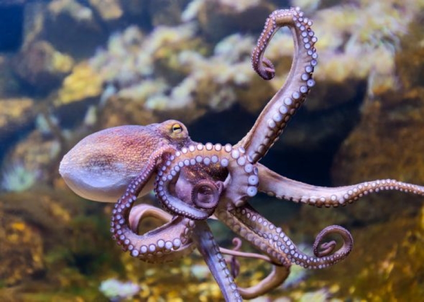 9 Scientific Facts That Are Surprisingly True