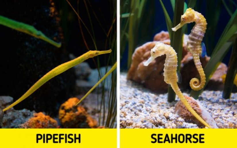 9 Scientific Facts That Are Surprisingly True