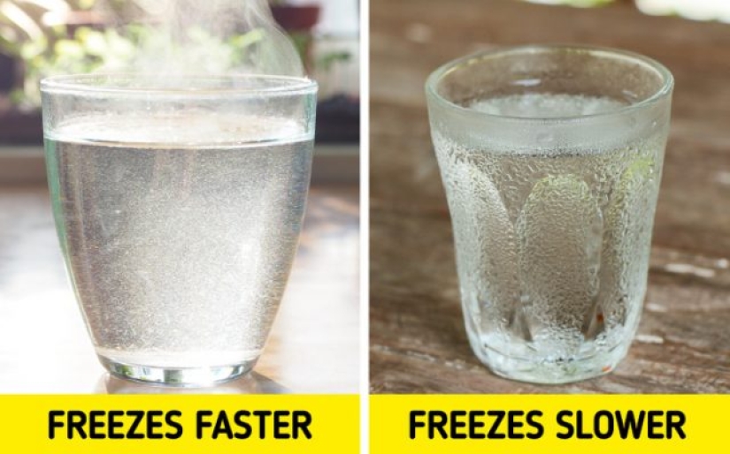 9 Scientific Facts That Are Surprisingly True