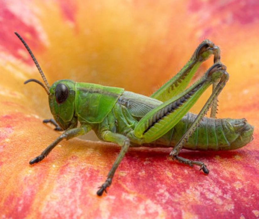 9 Scientific Facts That Are Surprisingly True