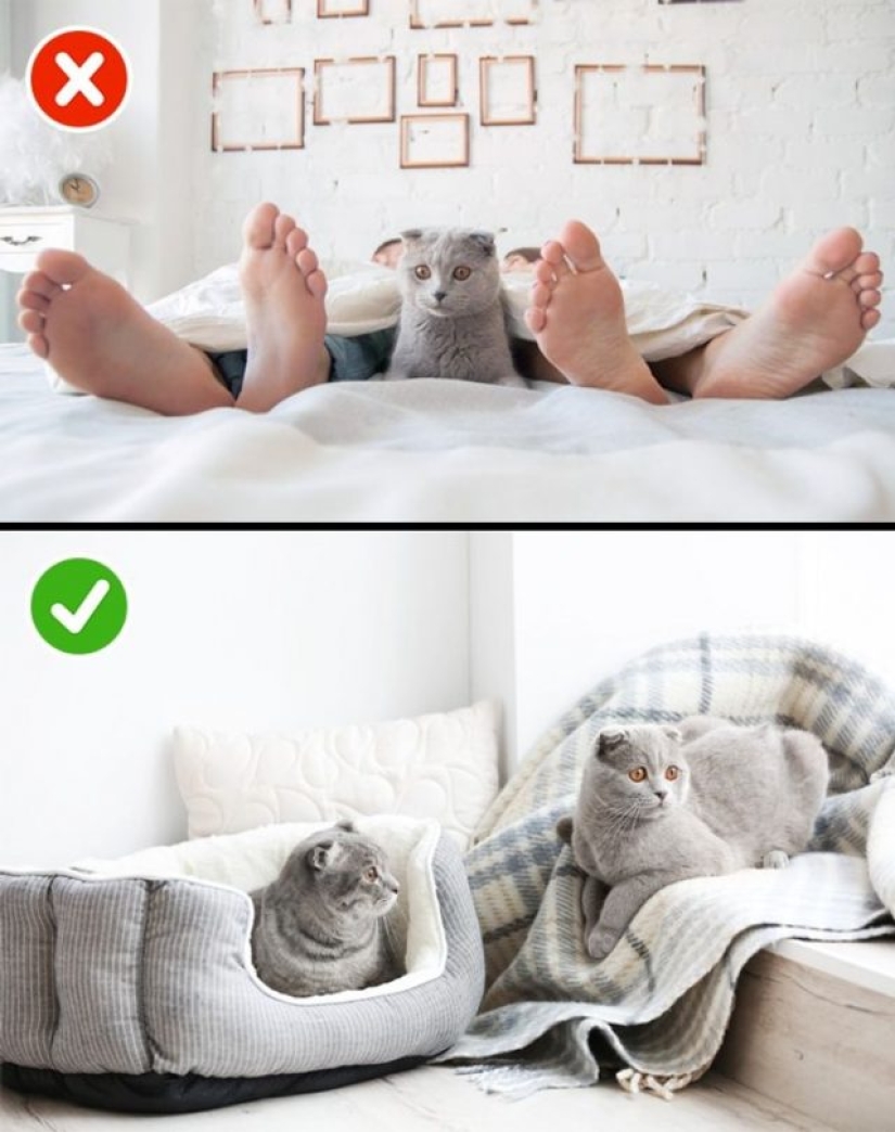 9 things happy couples do before bed 9 things happy couples do before bed