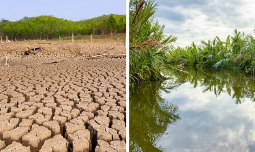 9 things that will happen to our planet if the Amazon rainforest burns down completely