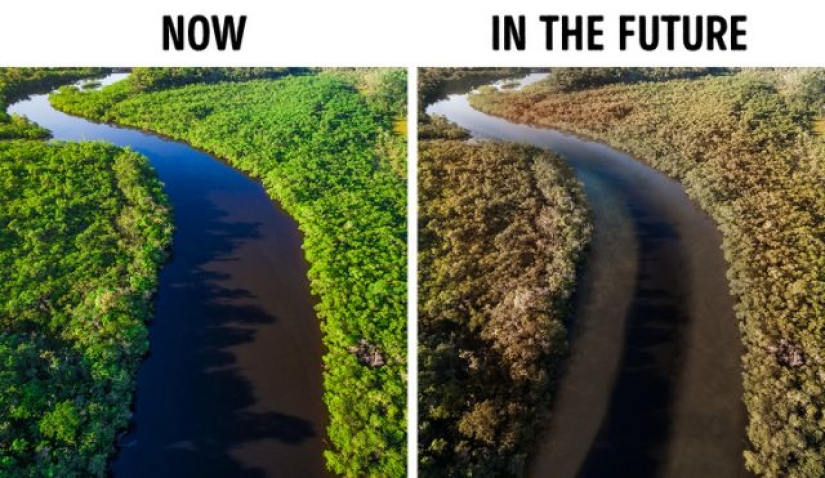 9 things that will happen to our planet if the Amazon rainforest burns down completely