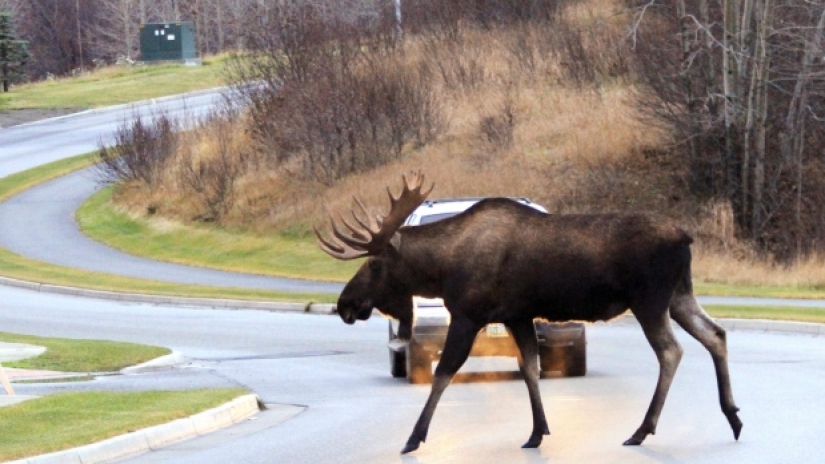 9 things you might not know about Canada 9 things you might not know about Canada