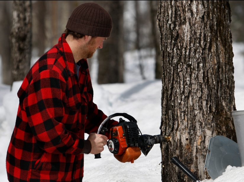 9 things you might not know about Canada 9 things you might not know about Canada