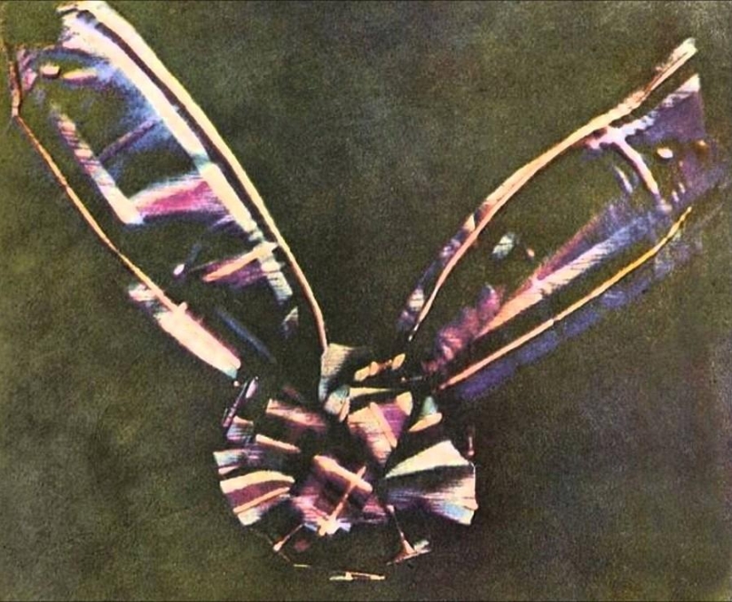 9 world's first photos