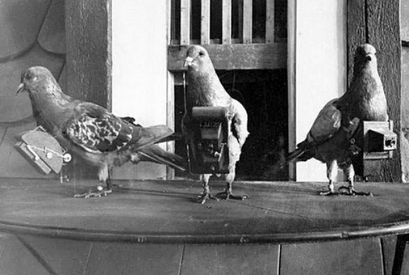 9 world's first photos