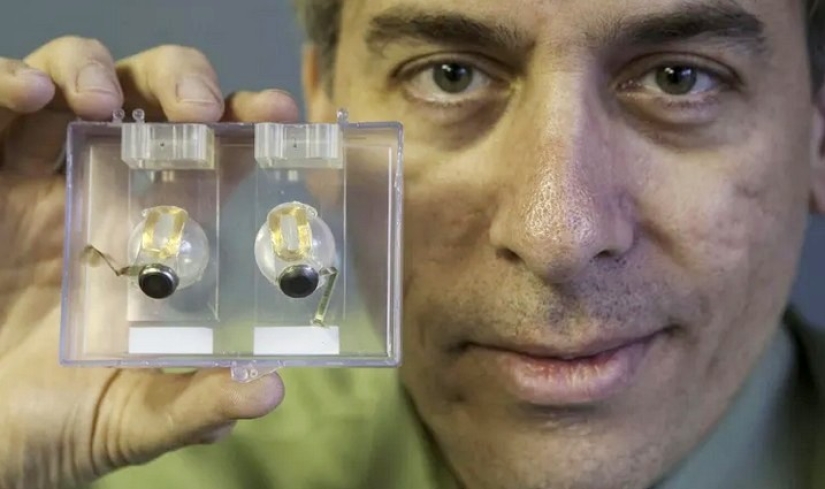A bankrupt company has abandoned its clients with brain implants to the mercy of its own