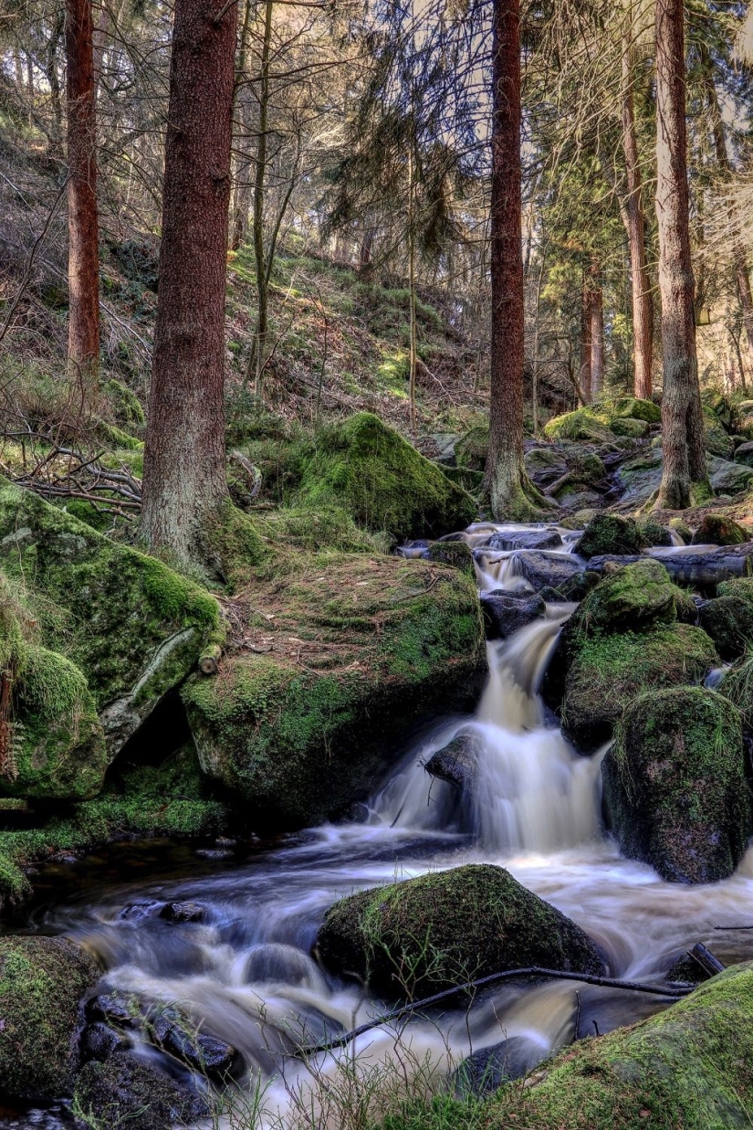 A blind veteran from Britain takes pictures of landscapes, and he's damn good at it