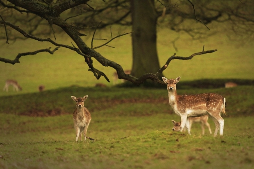 A blind veteran from Britain takes pictures of landscapes, and he's damn good at it
