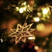 A British family has been decorating the same Christmas tree for 100 years