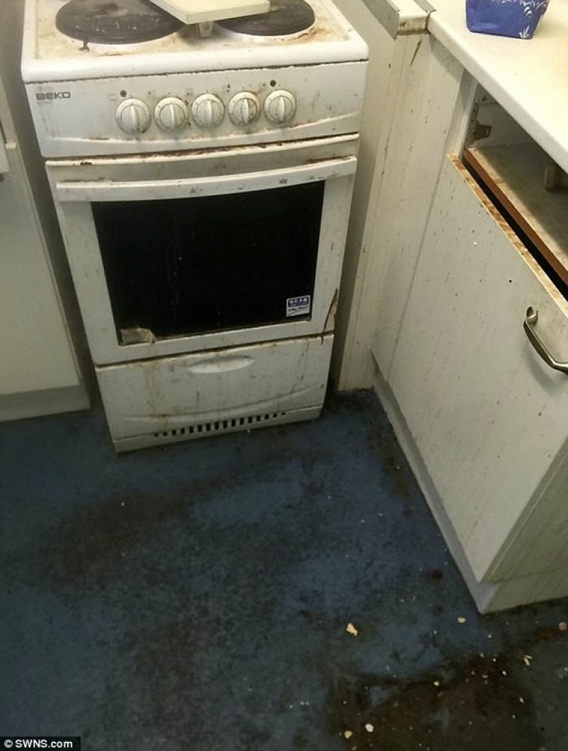A British woman, after learning that an elderly neighbor had not cleaned or washed for 13 years, changed her life
