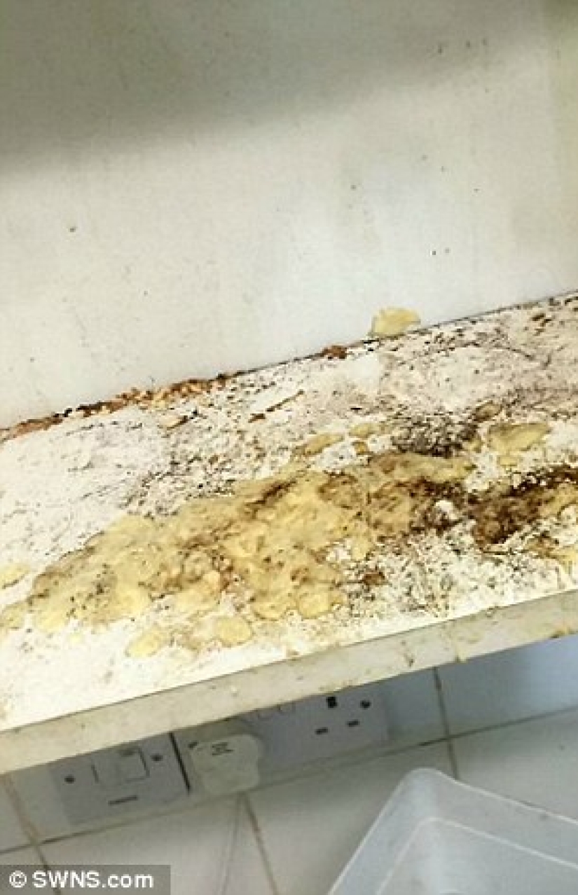 A British woman, after learning that an elderly neighbor had not cleaned or washed for 13 years, changed her life