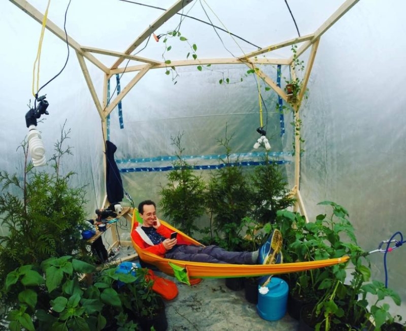 A Canadian blogger and plants tried to breathe at each other's expense. What came of it