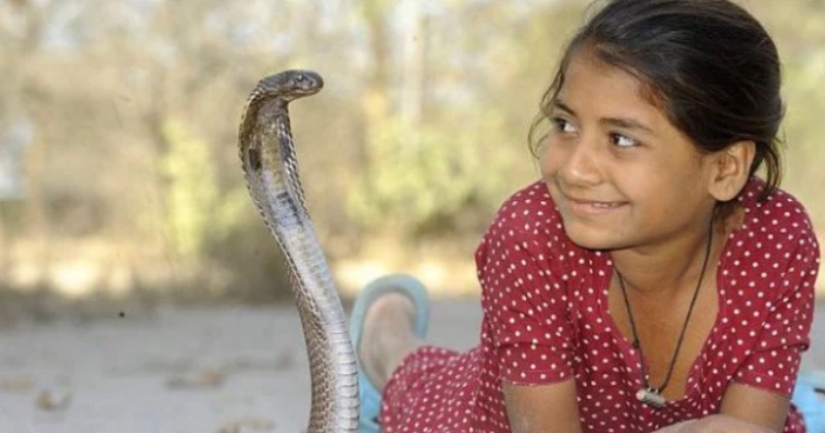 A cobra girl from India gets along well with dangerous snakes A cobra girl from India gets along well with dangerous snakes