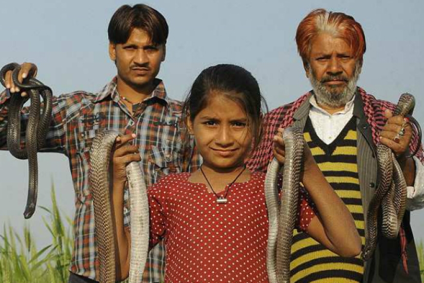 A cobra girl from India gets along well with dangerous snakes A cobra girl from India gets along well with dangerous snakes