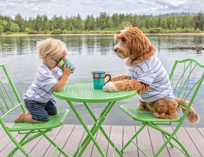 A dog is a person's best friend. A boy and a puppy do not part even in a dream A dog is a person's best friend. A boy and a puppy do not part even in a dream