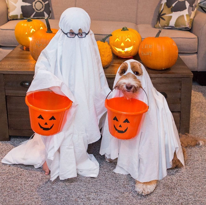 A dog is a person's best friend. A boy and a puppy do not part even in a dream A dog is a person's best friend. A boy and a puppy do not part even in a dream