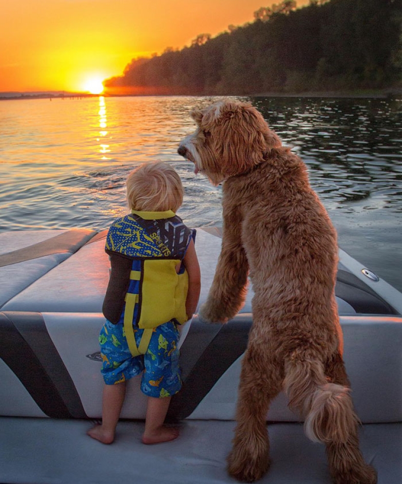 A dog is a person's best friend. A boy and a puppy do not part even in a dream A dog is a person's best friend. A boy and a puppy do not part even in a dream