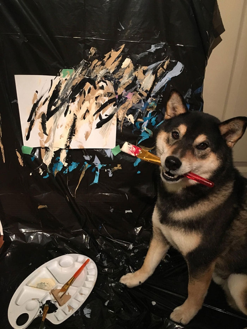 A dog of the Shiba Inu breed draws pictures and earns thousands of dollars on it