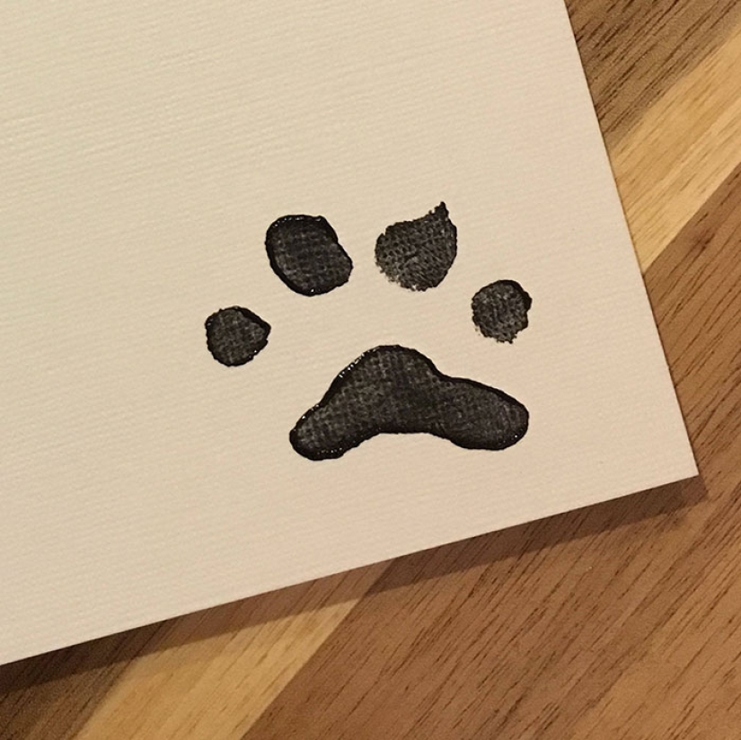 A dog of the Shiba Inu breed draws pictures and earns thousands of dollars on it