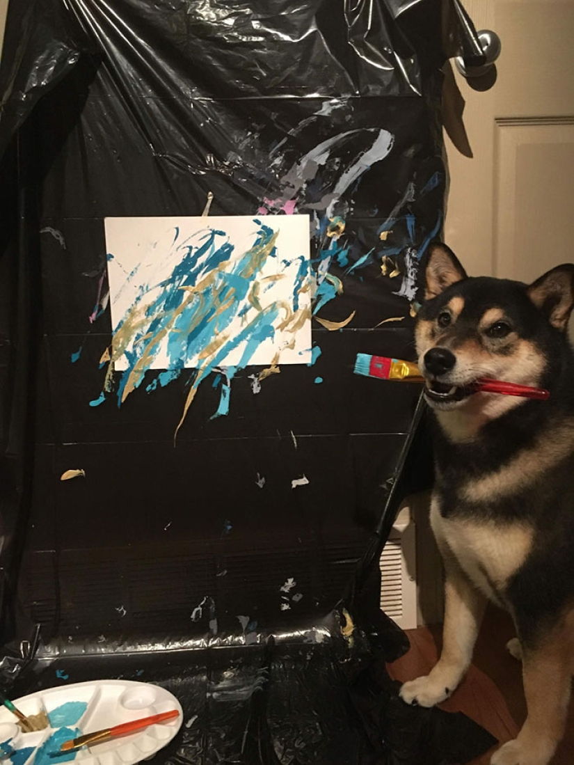 A dog of the Shiba Inu breed draws pictures and earns thousands of dollars on it