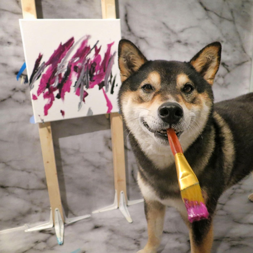 A dog of the Shiba Inu breed draws pictures and earns thousands of dollars on it