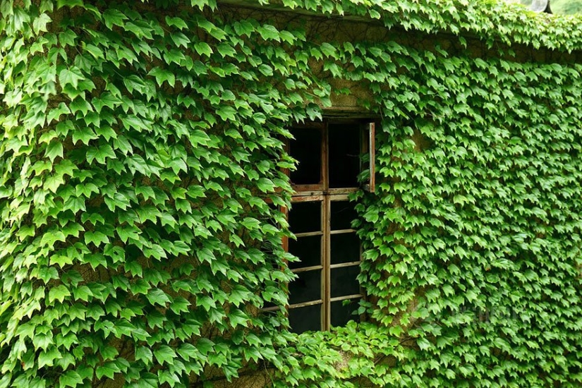 A fishing village absorbed by nature A fishing village absorbed by nature