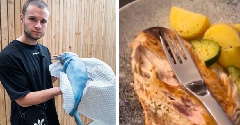 A German blogger showed how he eats a dolphin and became an object of hatred. The prank had to be urgently exposed