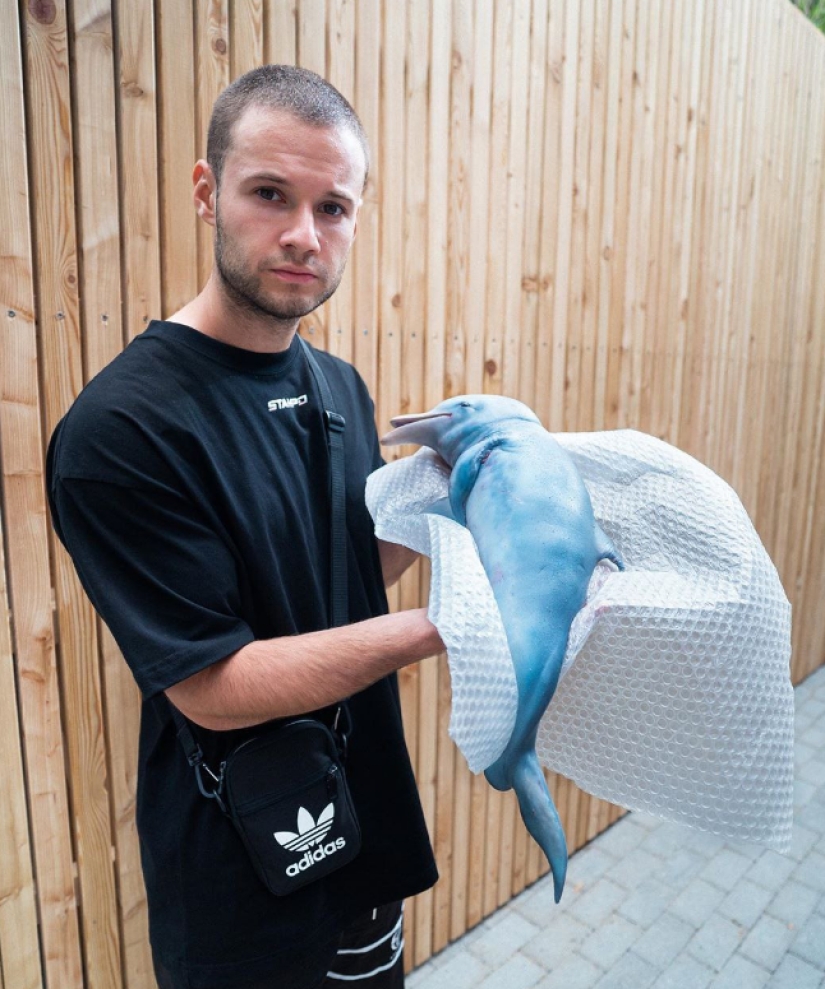 A German blogger showed how he eats a dolphin and became an object of hatred. The prank had to be urgently exposed