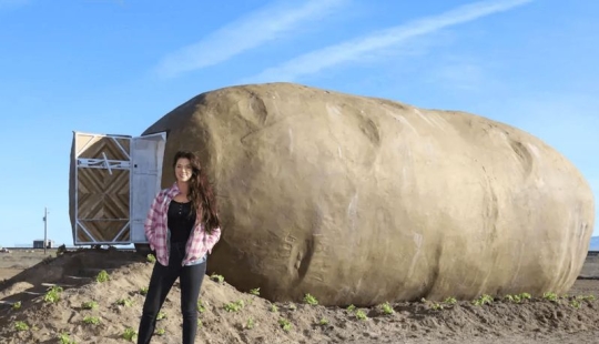 A giant "potato" that was turned into a mini-hotel A giant "potato" that was turned into a mini-hotel
