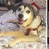 A gift with your own hands and what came out of it