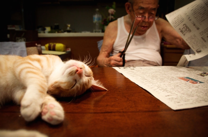 A Japanese woman brought her grandfather back to life by giving him a kitten A Japanese woman brought her grandfather back to life by giving him a kitten