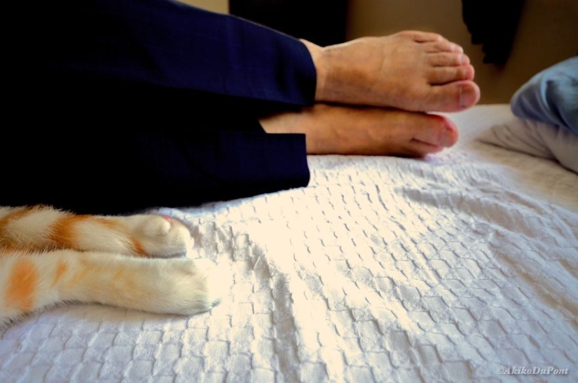A Japanese woman brought her grandfather back to life by giving him a kitten A Japanese woman brought her grandfather back to life by giving him a kitten